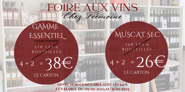 FOIRE AUX VINS
